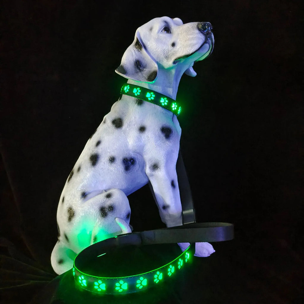 LED luminous cat collar with paw print pattern showing 7 colour changing effects