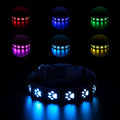 LED luminous cat collar with paw print pattern showing 7 colour changing effects