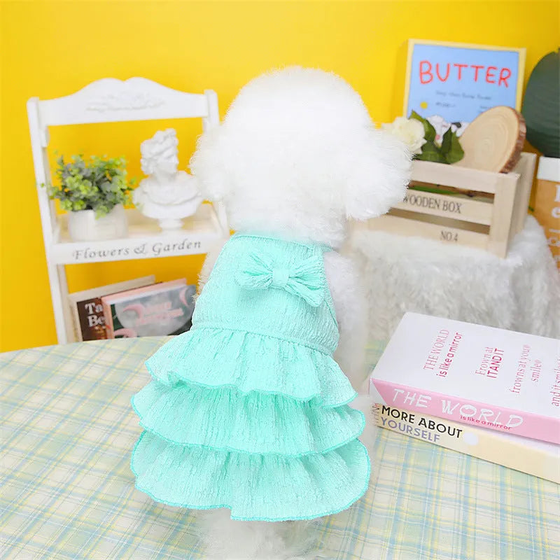 Small dog wearing a layered skirt princess dress in a candy colour.