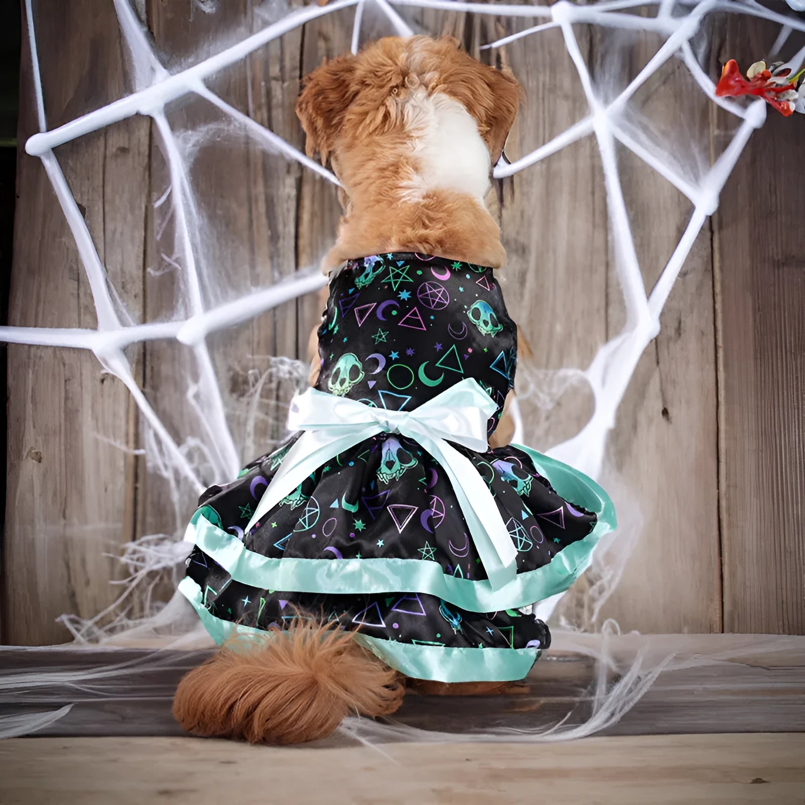 Halloween dog skirt costume with colourful pumpkin pattern and double-layer design