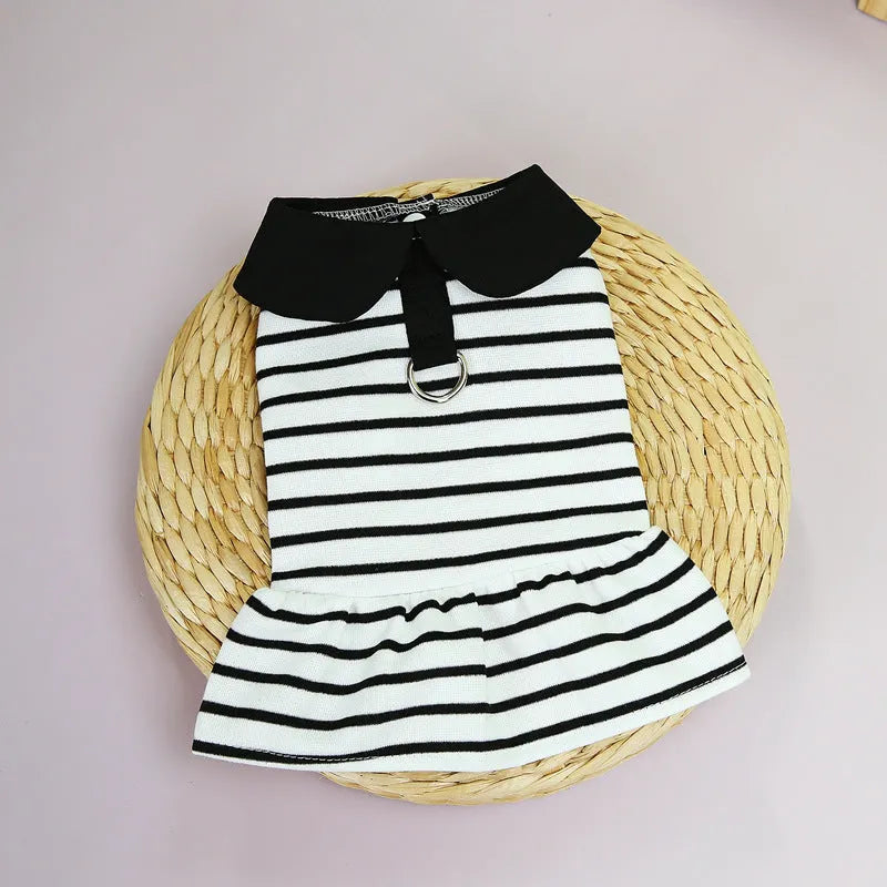 Pet wearing a striped cotton t-shirt and matching skirt summer outfit set