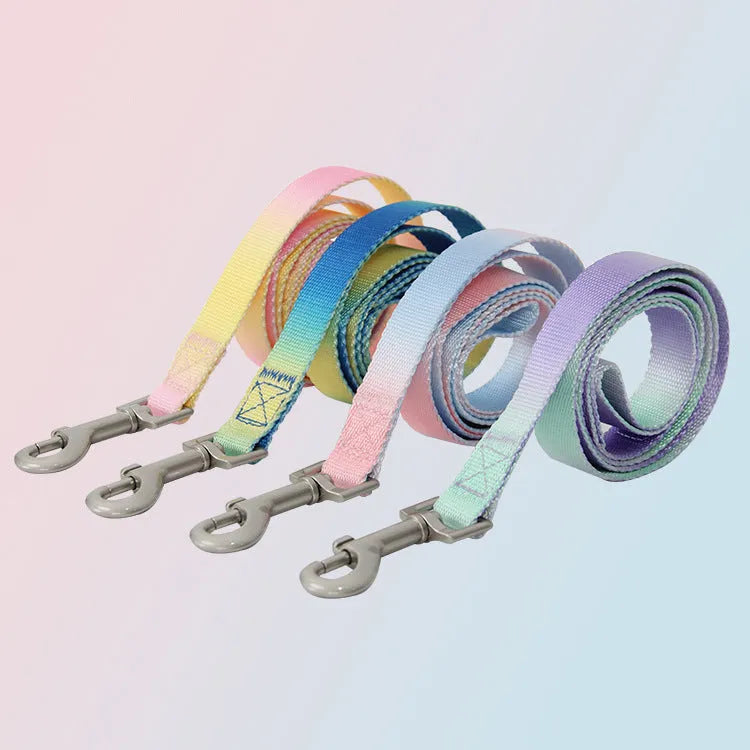 Gradient colour nylon dog leash set with collar, bracelet, and chest strap options in pink/yellow and purple/green combinations