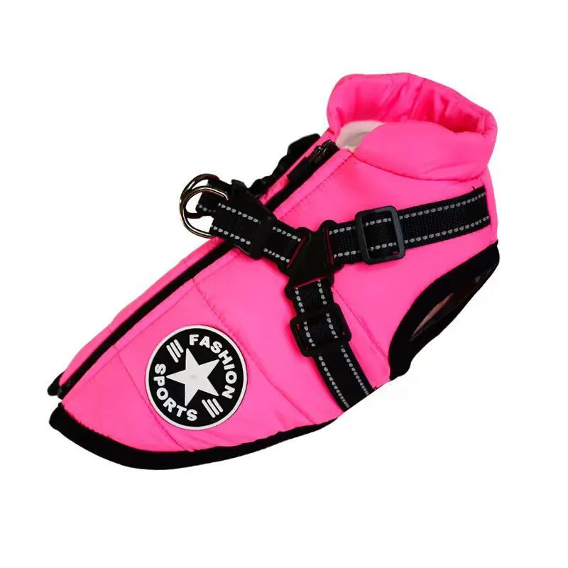 Red waterproof dog coat with integrated harness on a Labrador retriever