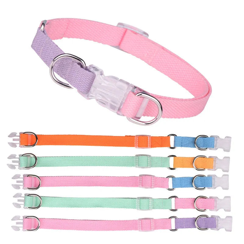 Polyester ribbon dog collar, lead, and chest strap set in a choice of five colour combinations