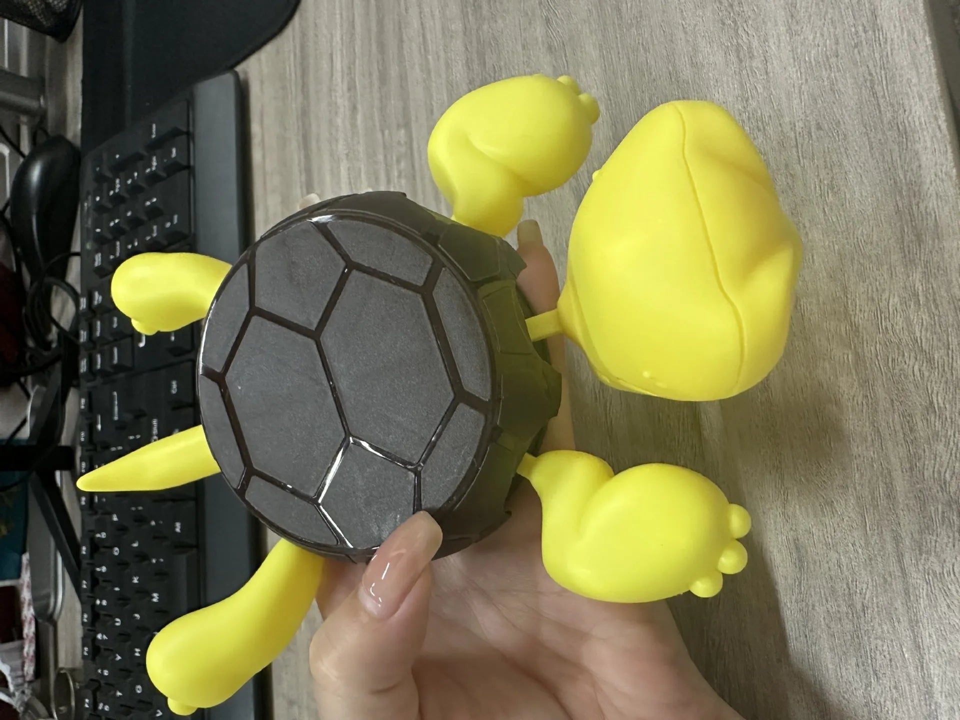 ABS plastic Turtle Coaster in light green colour with heat insulation function for table protection