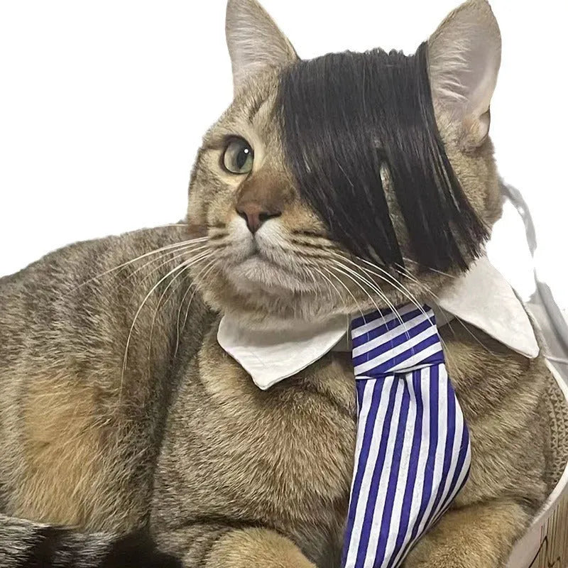 Black polyester cat wig with imitation braid for pet dress up