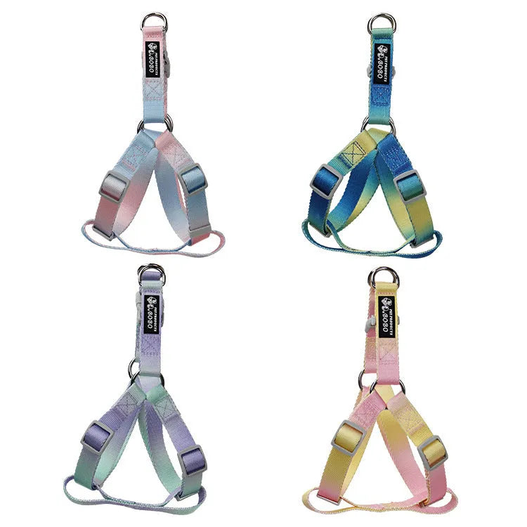 Gradient colour nylon dog leash set with collar, bracelet, and chest strap options in pink/yellow and purple/green combinations