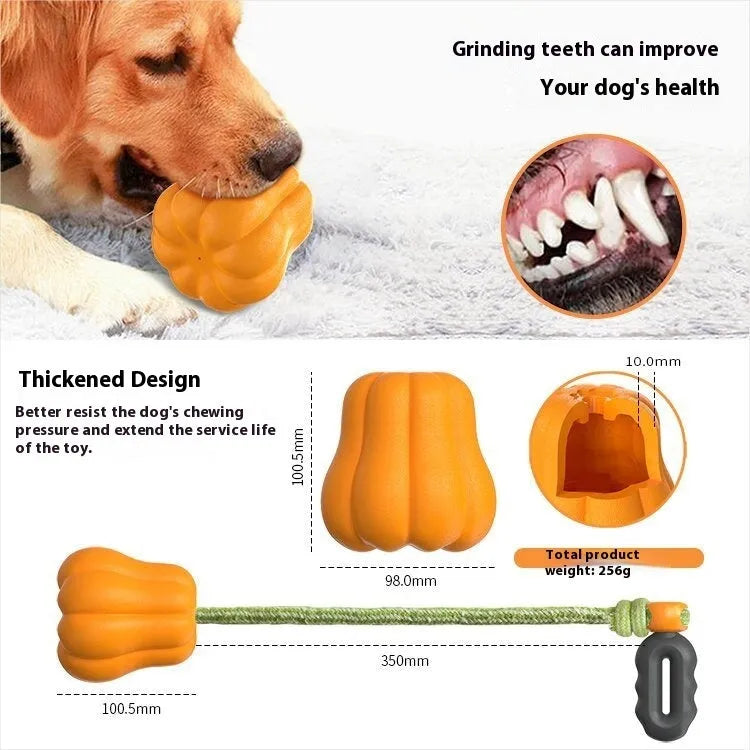 Orange pumpkin-shaped plastic dog toy with textured surface and rope attachment for chewing and fetch games