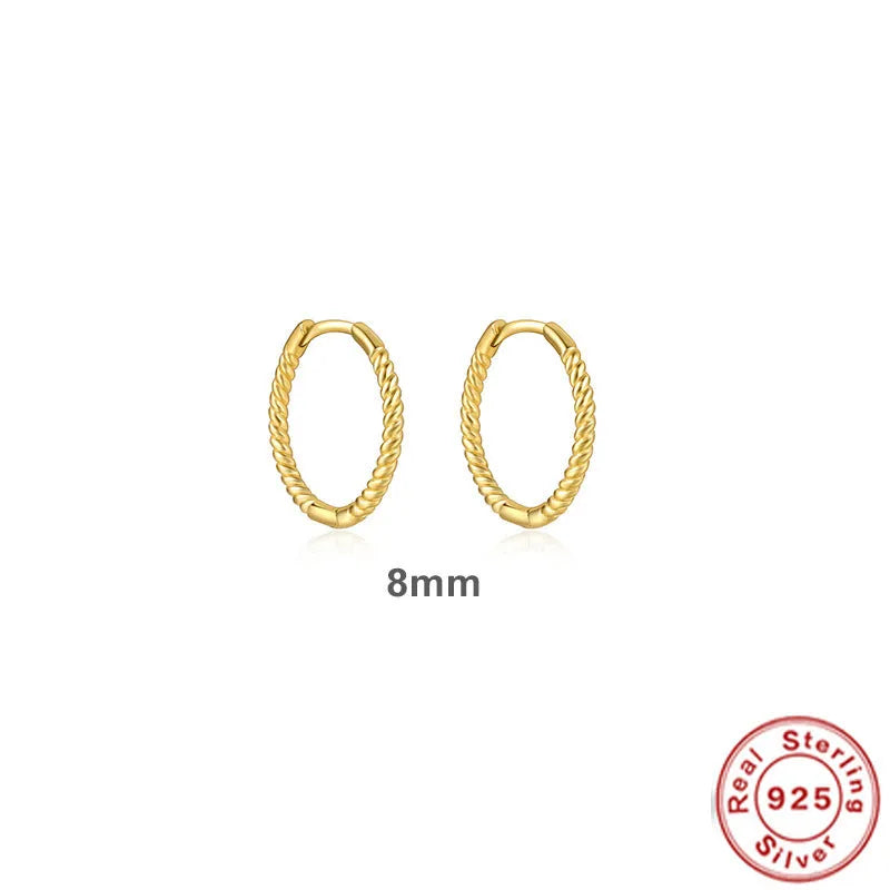 S925 sterling silver twisted string round ring geometric earrings for women on a white background.