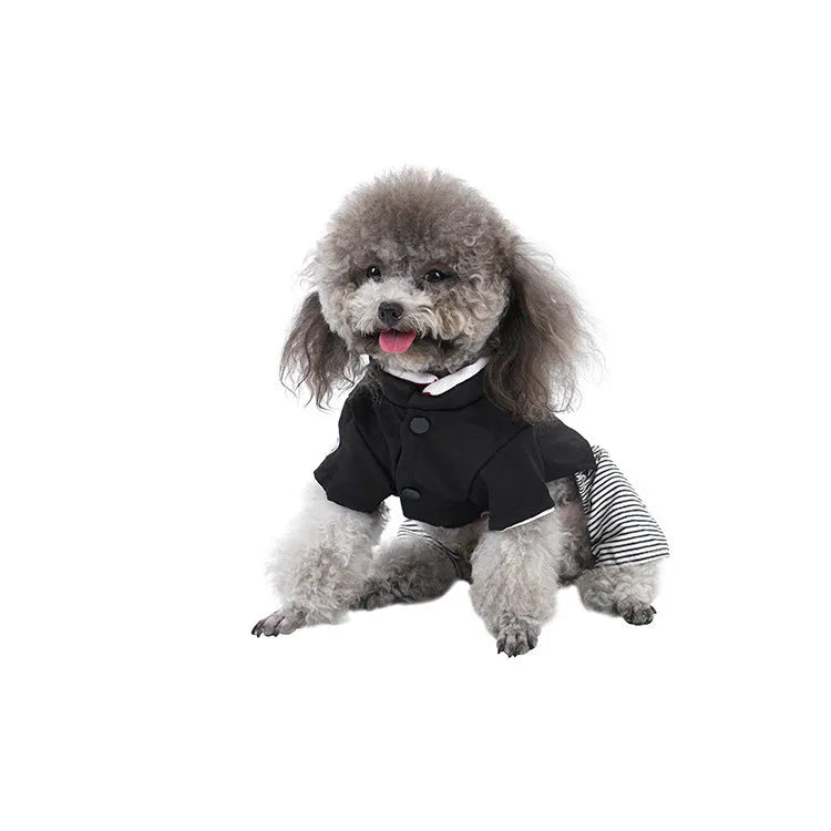 Cotton poodle dog clothes in skirt and four-foot pants styles for spring and summer wear