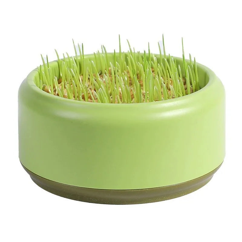 Blue, green, and yellow hydroponic cat grass kits with wheatgrass seeds on a white background.