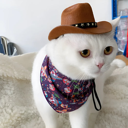 British-style non-woven fabric cowboy hat for a cat, shown in a brown colour with a black ribbon trim.