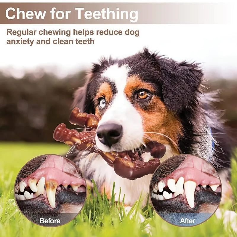 Scarlet red beef flavour nylon chew toy for dogs on a white background.