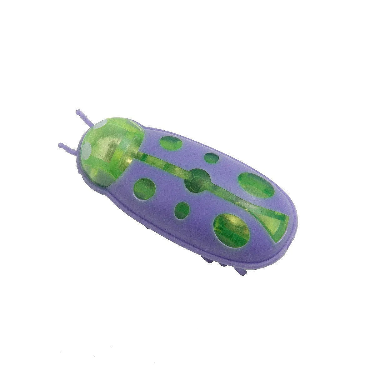 Small red ladybird shaped electric bug toy for cats on a wooden floor.