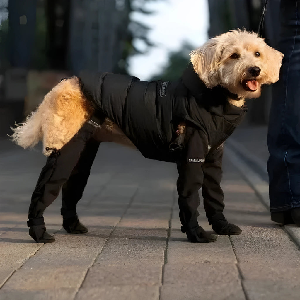 Black waterproof dog shoes with non-slip soles and strap fastening system