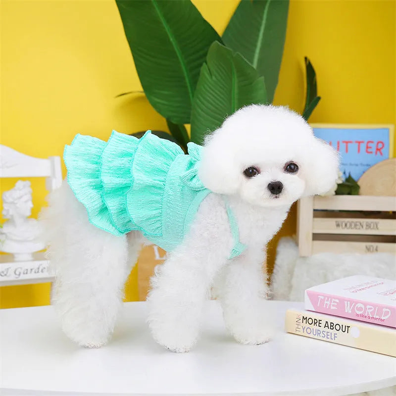 Small dog wearing a layered skirt princess dress in a candy colour.