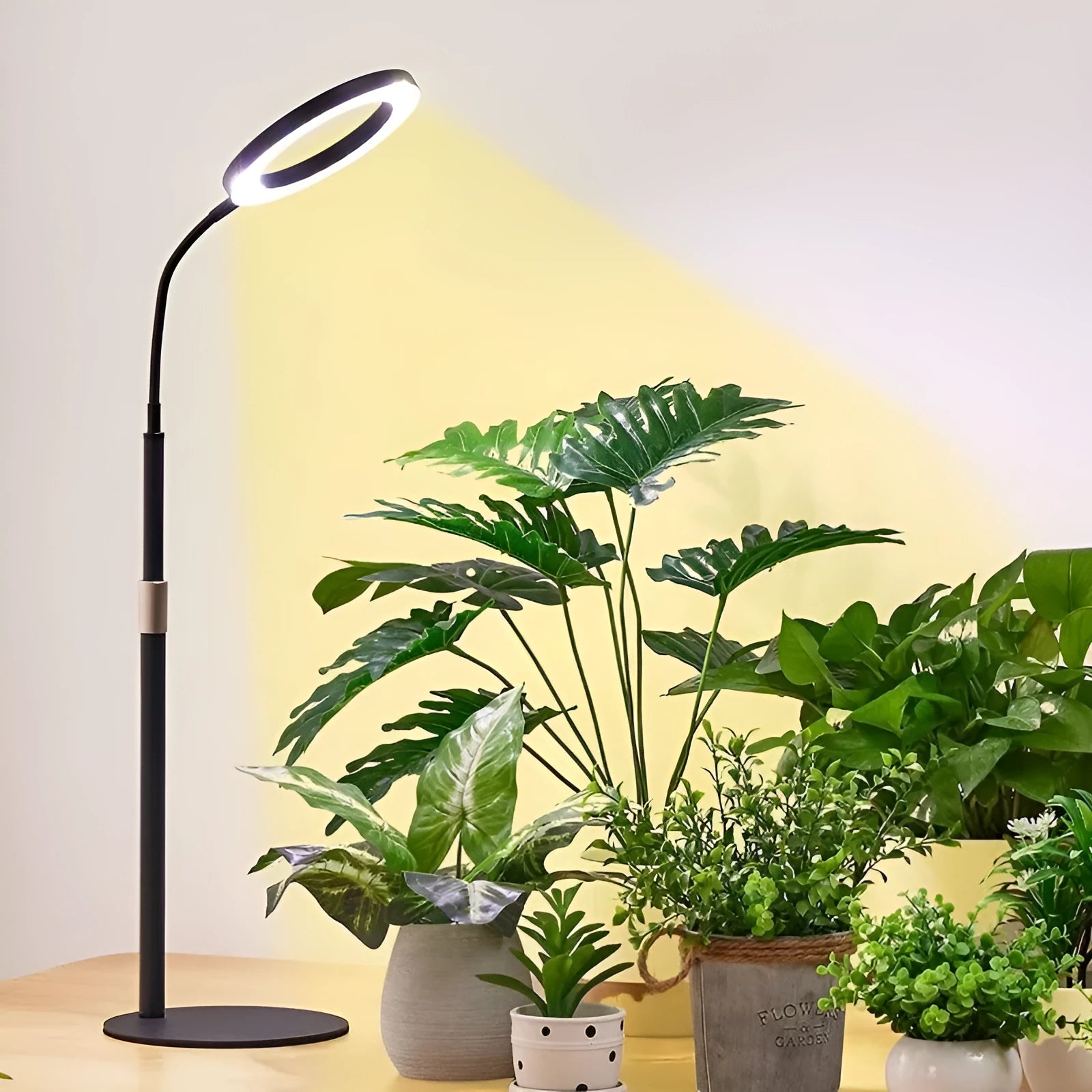 6-inch retractable floor plant grow light with adjustable 160cm aluminium alloy lamp holder
