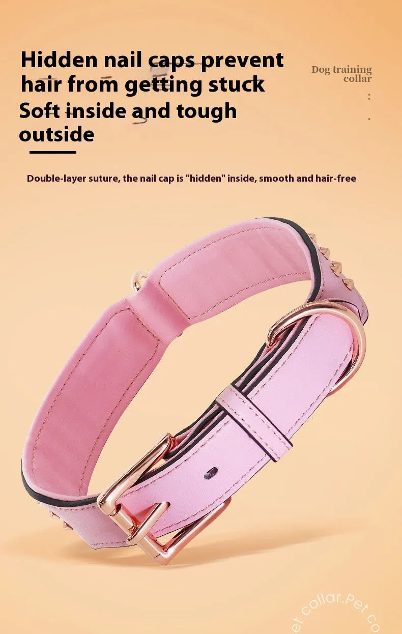 Leather dog collar in chocolate colour with visible rivets, shown on a large dog.