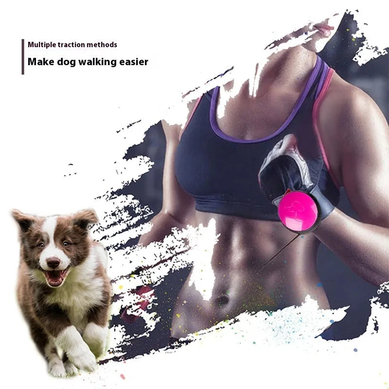 Automatic retractable dog leash with explosion-proof mechanism in six colour options