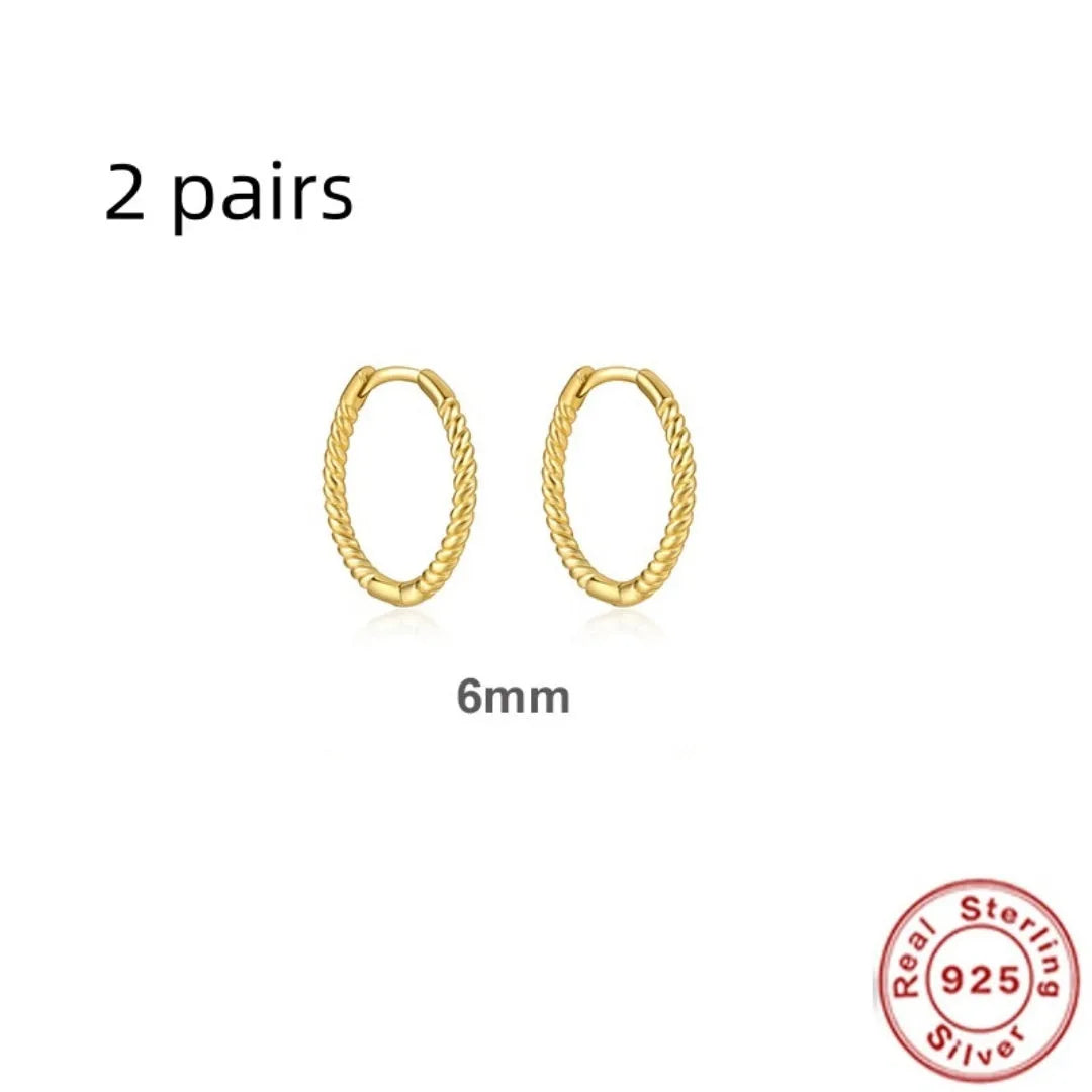 S925 sterling silver twisted string round ring geometric earrings for women on a white background.