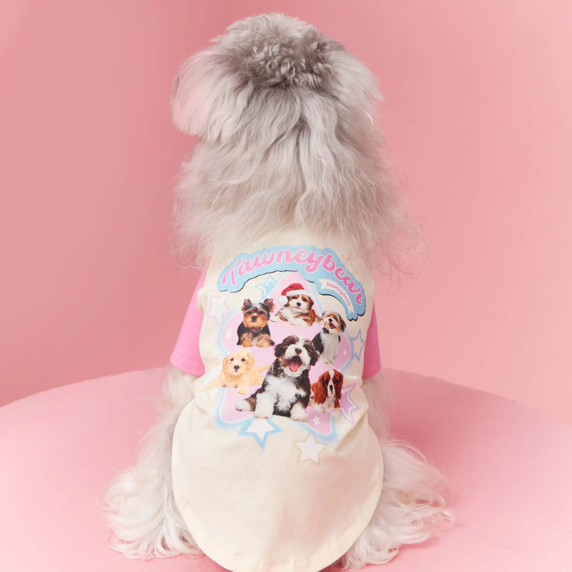 Summer dog clothes made of cotton in embroidered red, showing contrast colour details.