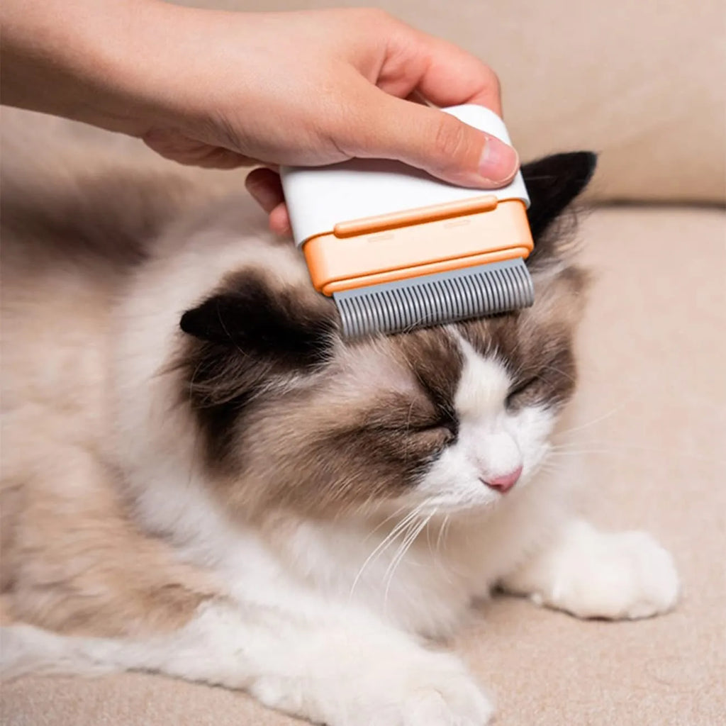 Blue dual-sided pet grooming comb for deshedding cats and dogs, showing stainless steel teeth.