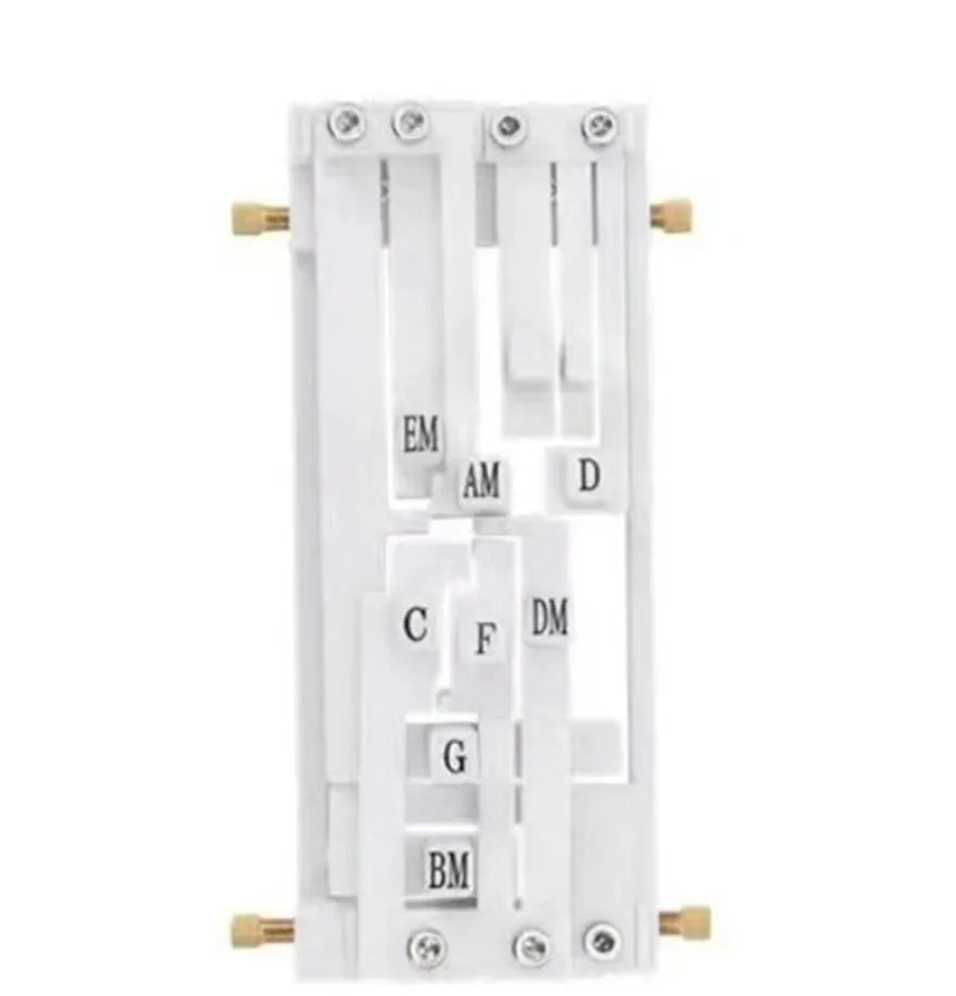 Automatic chord practice device for folk guitar playing and singing