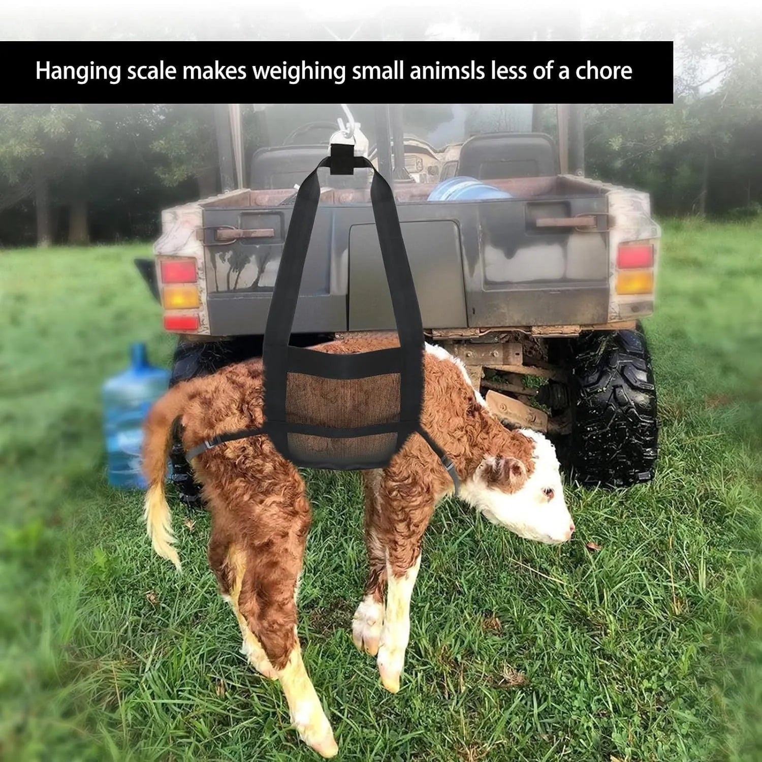 Large black livestock weighing sling measuring 35cm by 150cm with four attachment points.