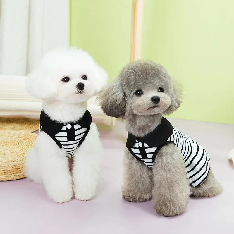 Pet wearing a striped cotton t-shirt and matching skirt summer outfit set