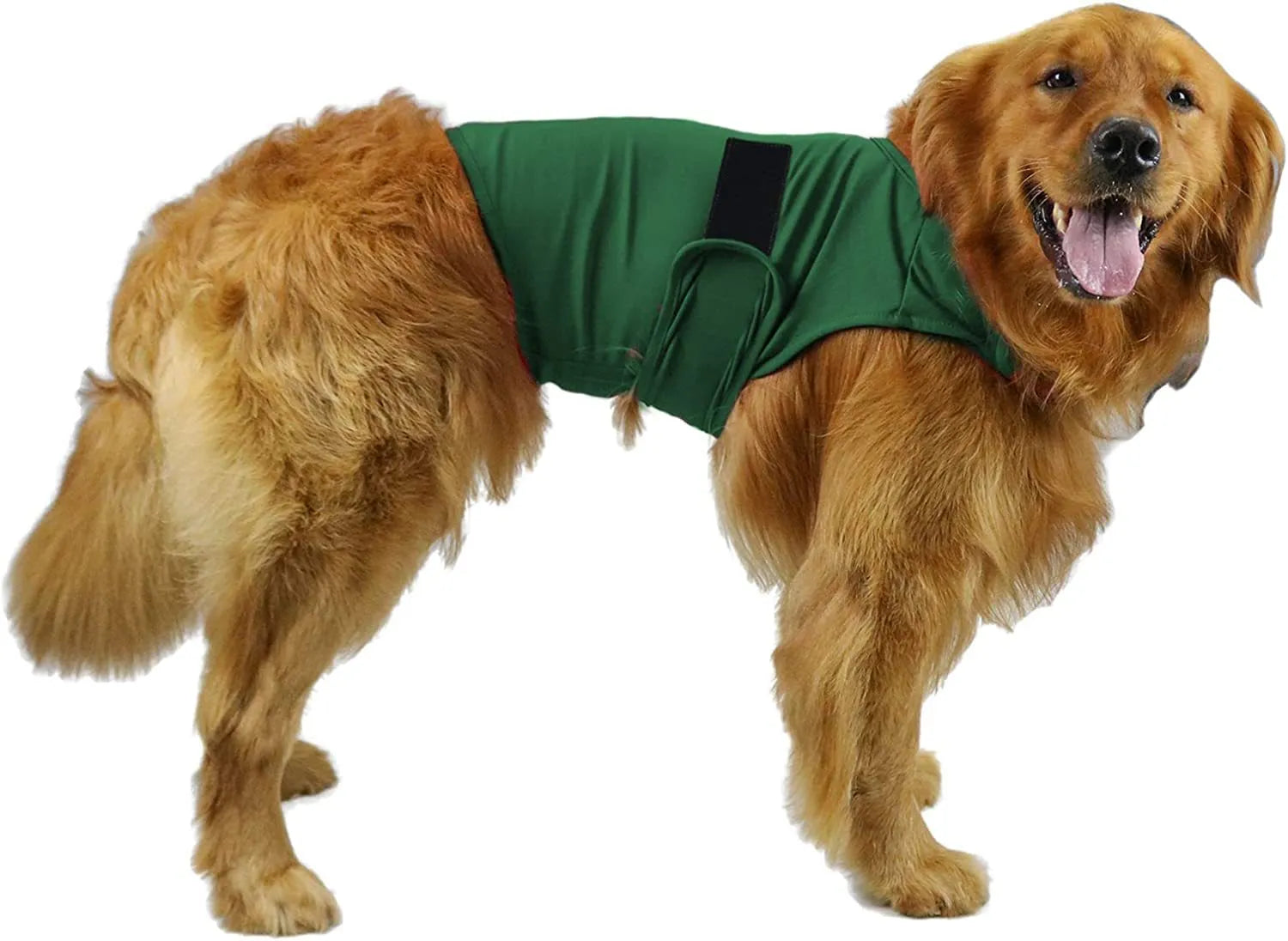 Dog wearing brocade cotton ponte de roma calming vest for separation anxiety in tank top style