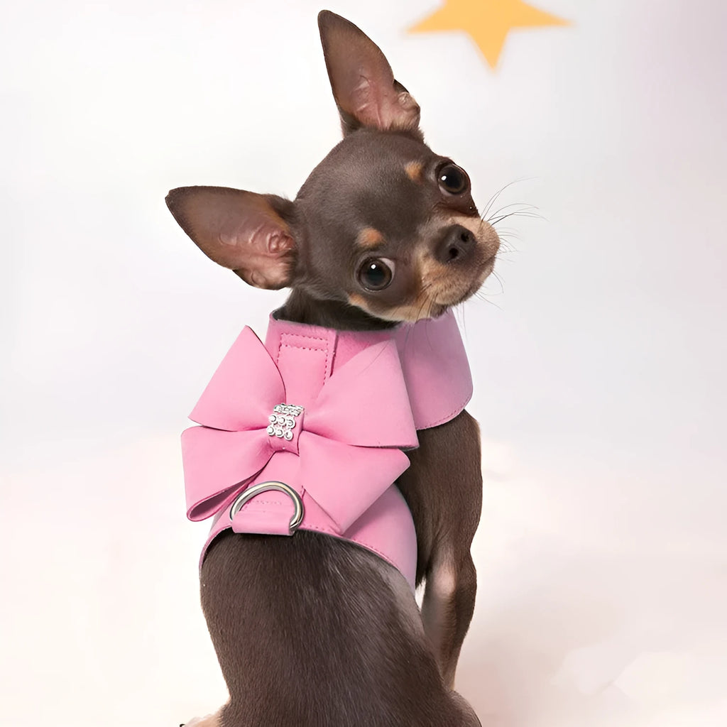 Pink bowknot dog chest strap harness on small white puppy