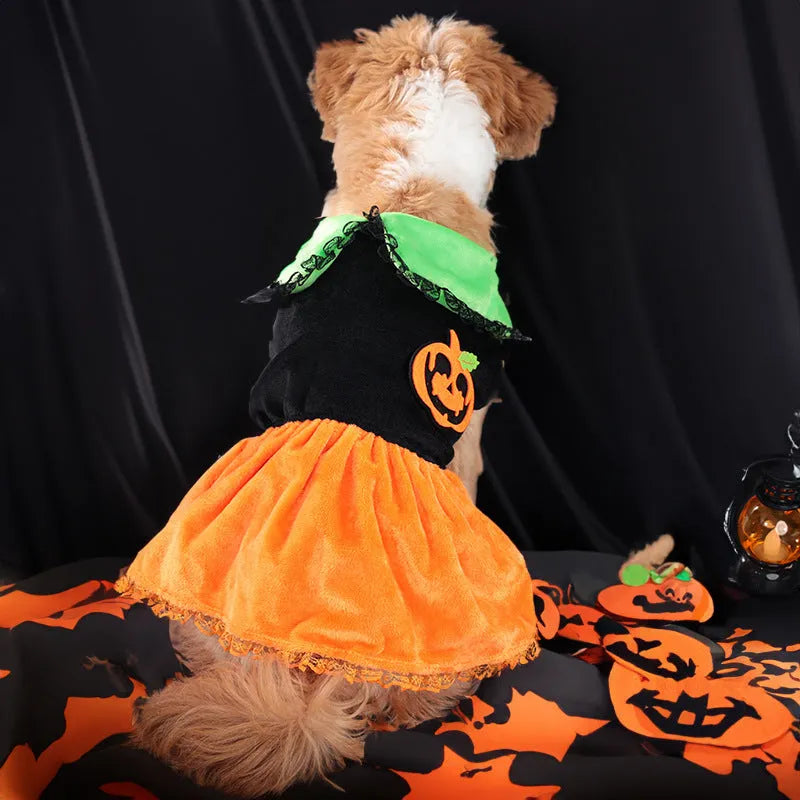 Halloween pumpkin skirt and sweater pet costumes in crystal velvet for dogs and cats