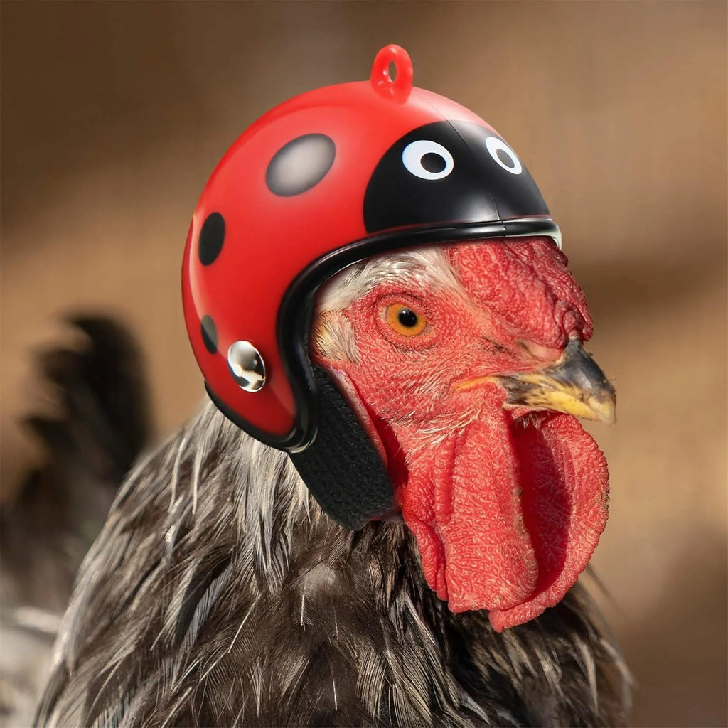 Adjustable pet safety helmet for small chickens and birds with sponge lining