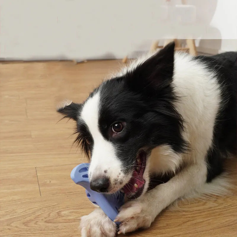 Blue or purple Boomerang Molar bite-resistant dog toy for medium and large breed dogs