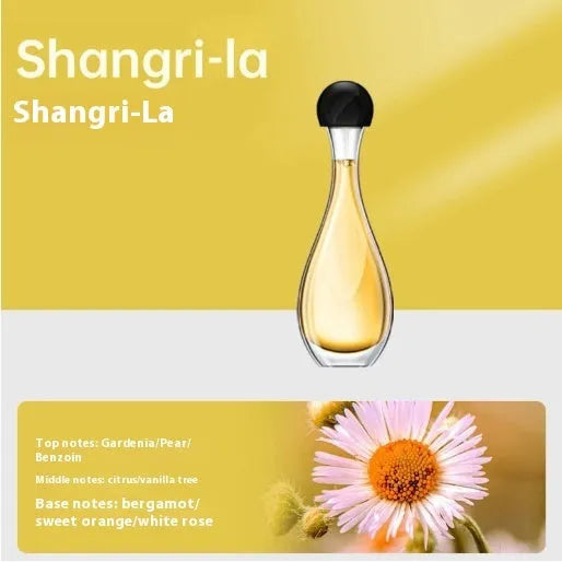 Ultrasonic aroma diffuser with mosquito repellent function in six fragrance options