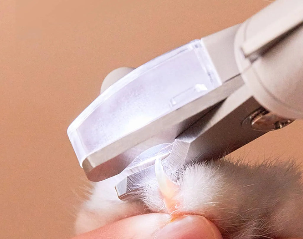White pet nail clippers with LED light, open transparent splash guard, and separate nail file on a table