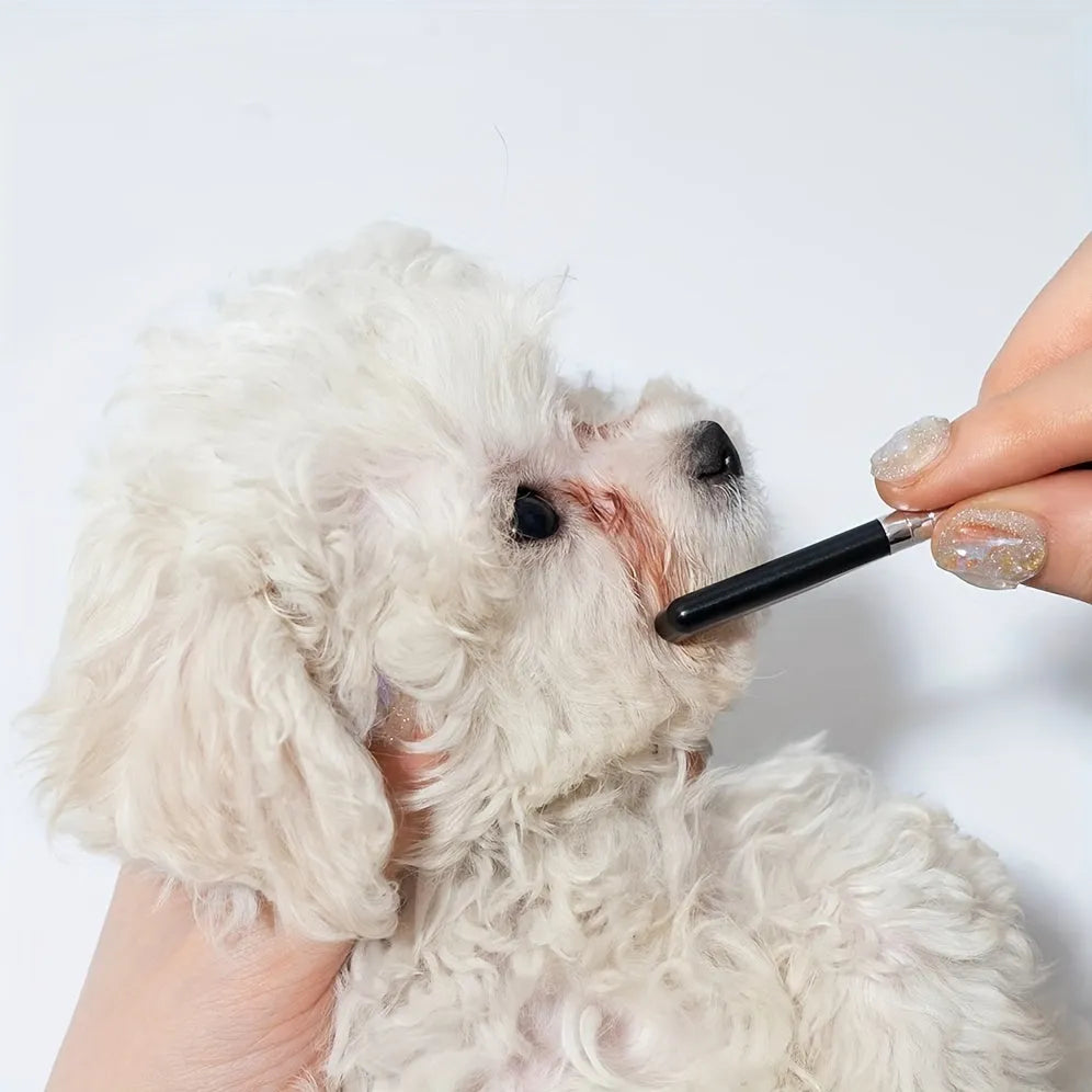 Black dual-sided pet grooming brush showing soft bristles for eyes on one end and a wider comb on the other