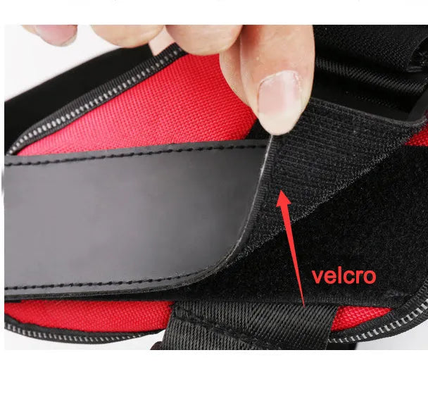 A reflective adjustable no-pull dog harness in a vest style, shown on a dog with a personalised patch.
