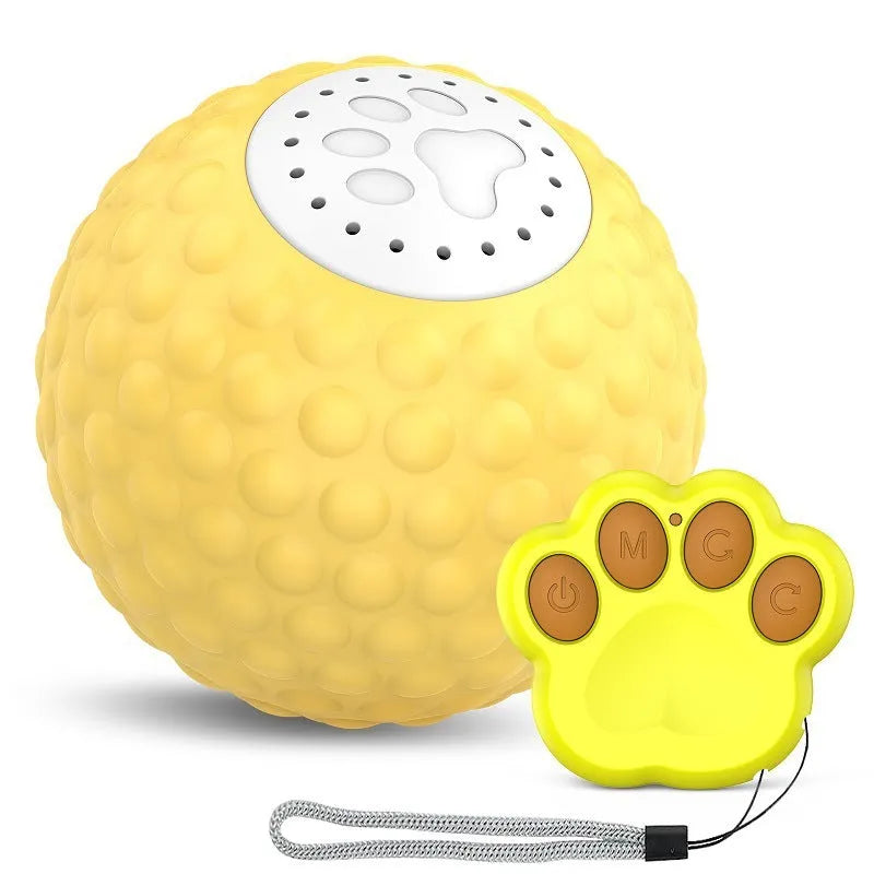 Remote control and a blue interactive cat ball toy on a wooden floor.