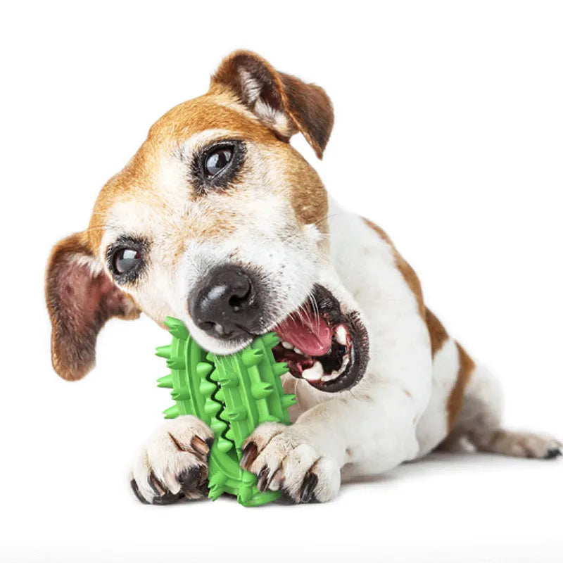 Green cactus-shaped dog chew toy with textured bumps and central food channel for dental cleaning