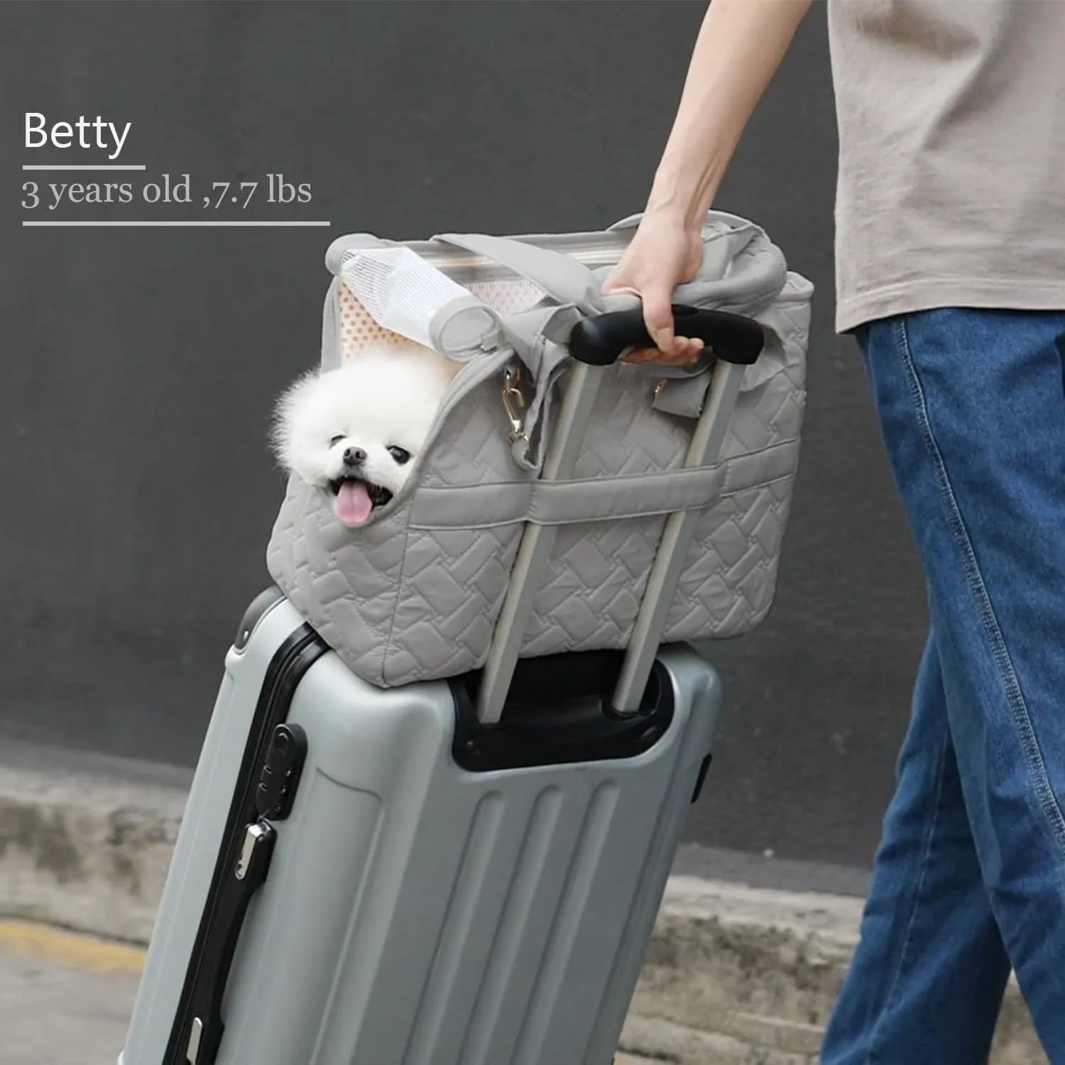 Grey mesh pet carrier bag with safety tether and multiple pockets for cat or small dog transport