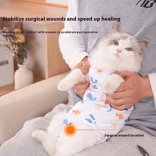 A cat wearing a blue patterned polyester sterilization recovery suit with velcro fastening on the side.