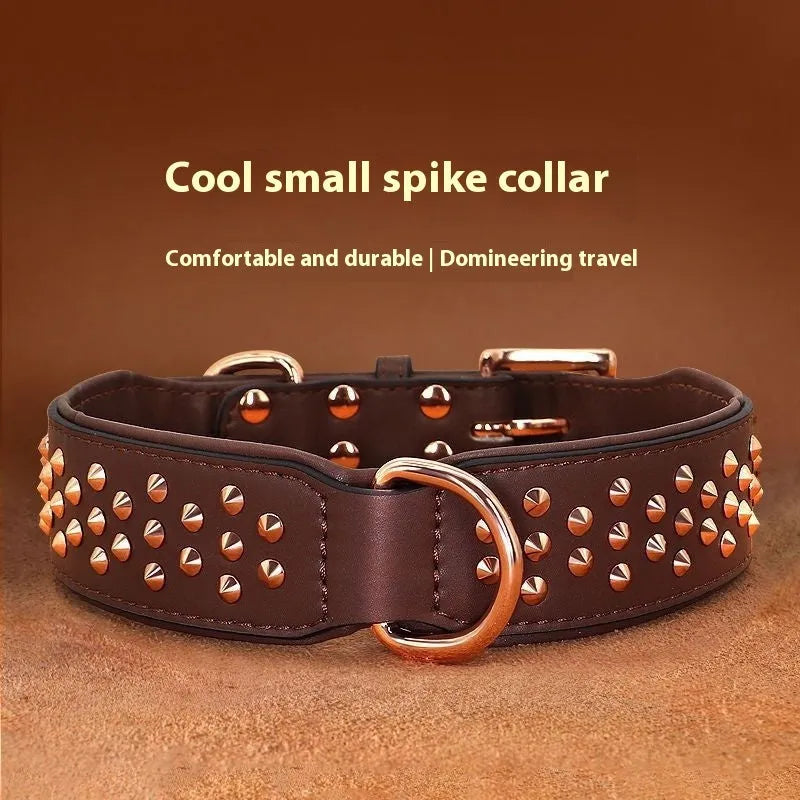 Leather dog collar in chocolate colour with visible rivets, shown on a large dog.