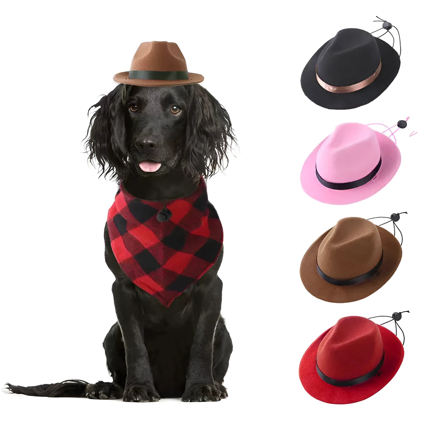 Wool felt mini pet hat for dogs and cats in pink colour showing 15.5cm diameter measurement