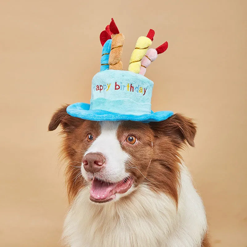 Blue adjustable fabric dog birthday hat for small pet celebrations