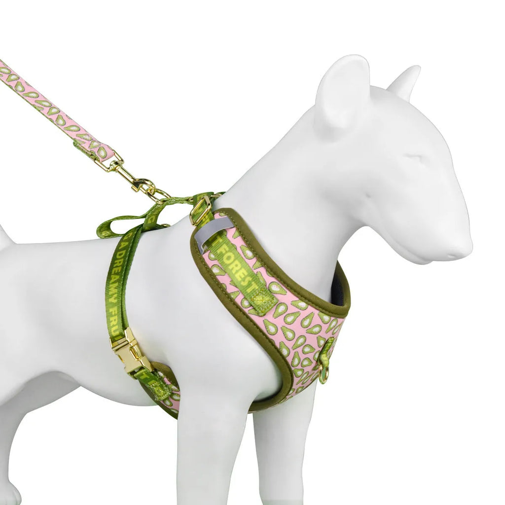 Polyester dog haulage rope and chest-back harness set in multiple colours for medium and large breeds