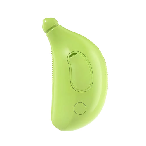 Green rechargeable 3-in-1 cat steam brush with massage and grooming functions