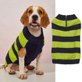 Grey dog sweater with contrast trim, horizontal front zipper, and a button pocket on a small dog.