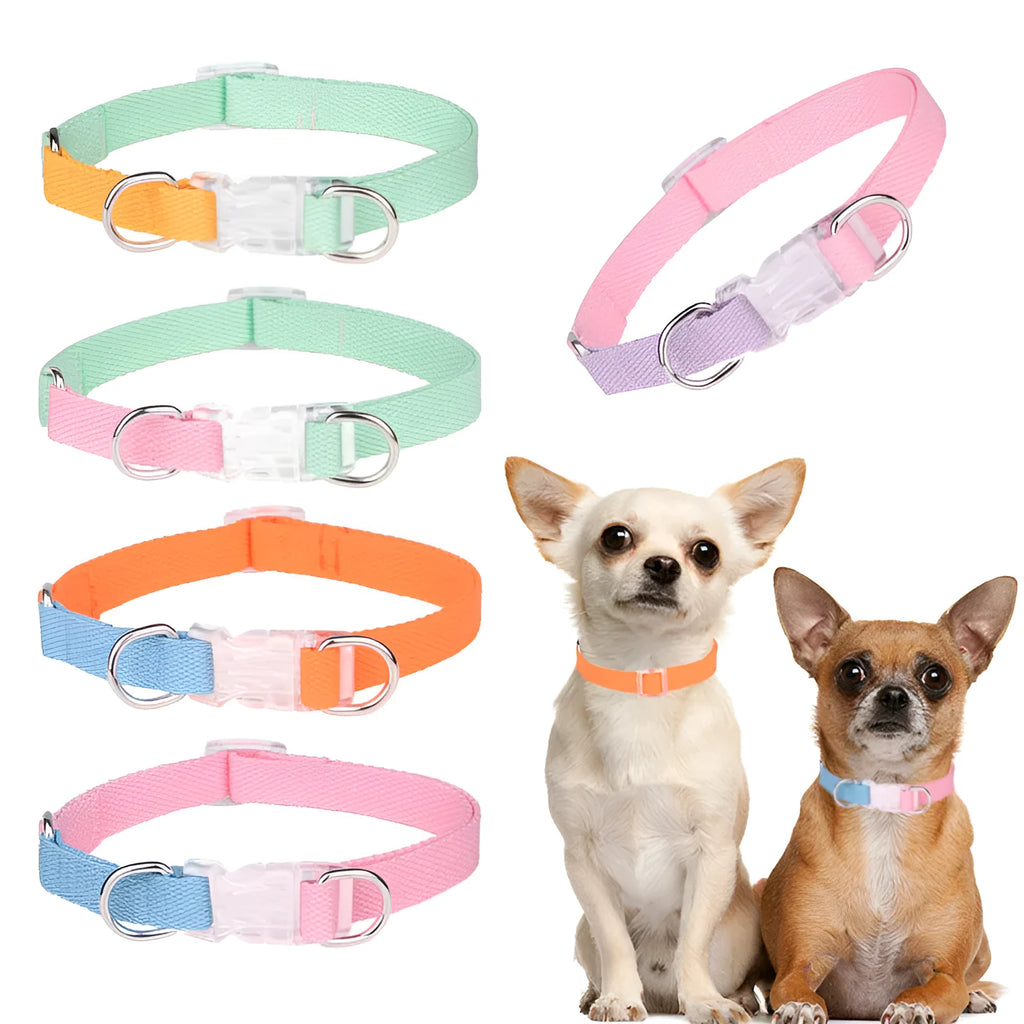 Polyester ribbon dog collar, lead, and chest strap set in a choice of five colour combinations
