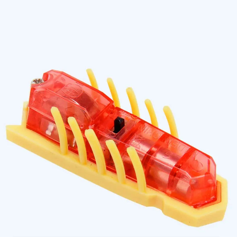 Small red ladybird shaped electric bug toy for cats on a wooden floor.